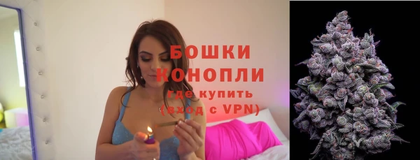соль ск Липки