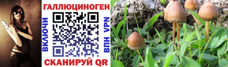 Галлюциногенные грибы ЛСД  Темников 